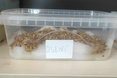 Obrázek č.8